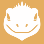 Iguana